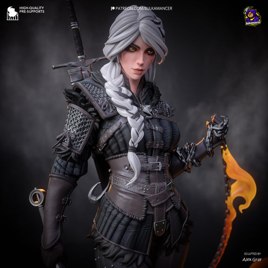 Witcher 4 Ciri 3d Printed Model Kit