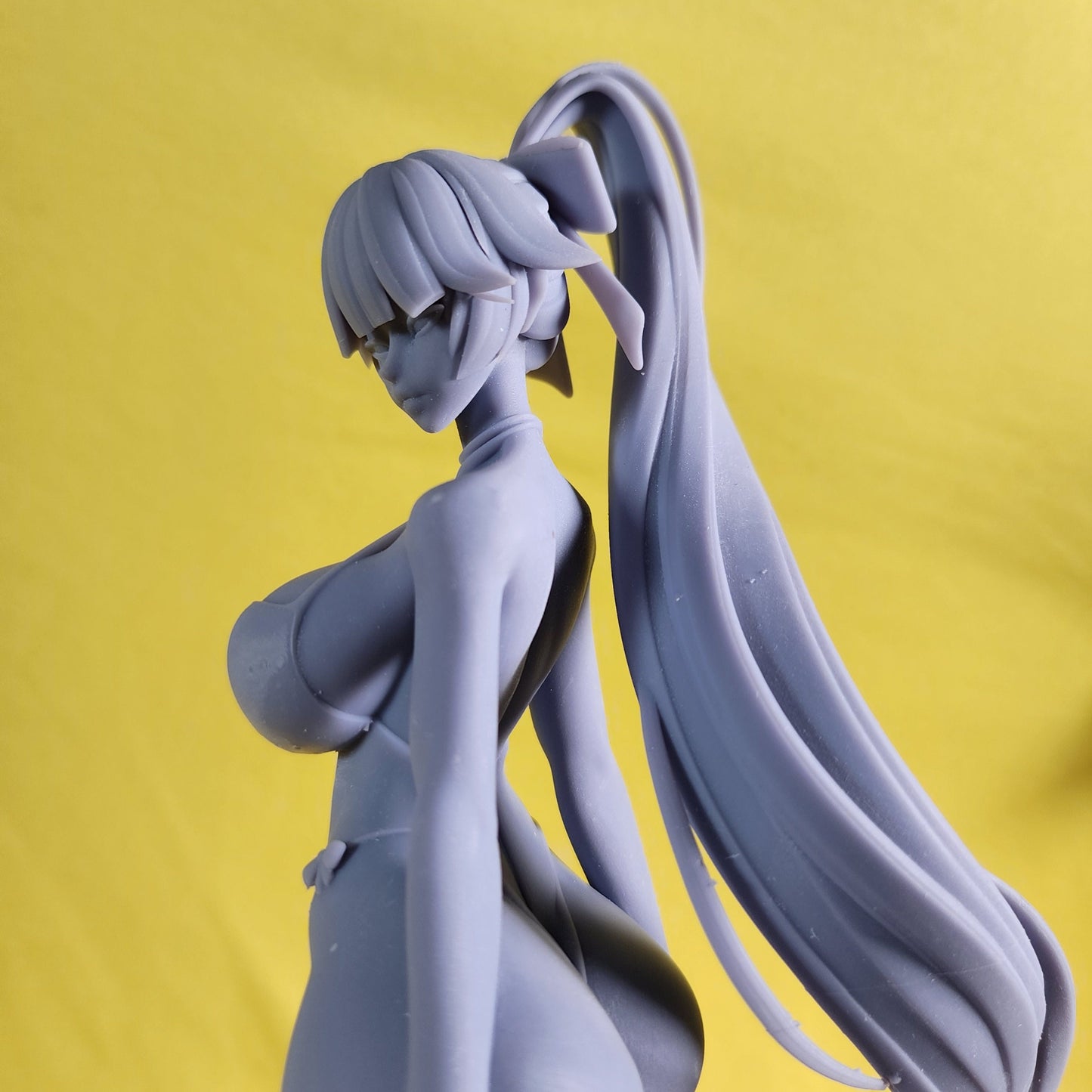 Swimsuit Takao 3d Printed Model Kit