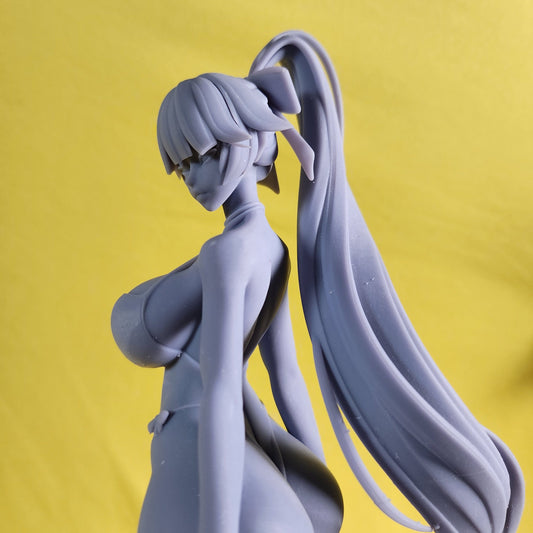 Swimsuit Takao 3d Printed Model Kit