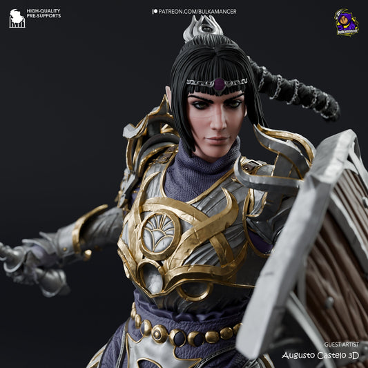 Justiciar 3d Printed Model Kit