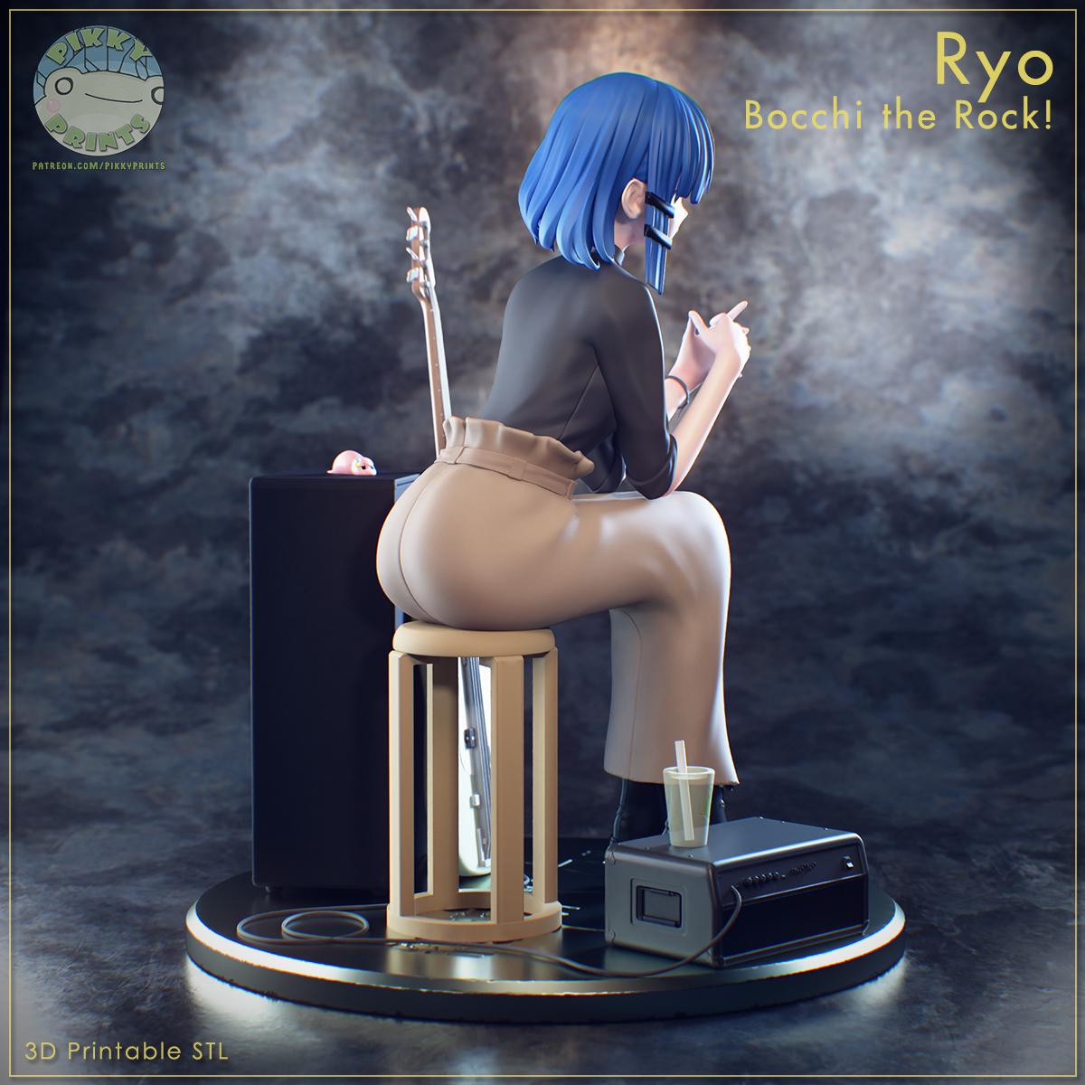 Ryo 3d Printed Model Kit