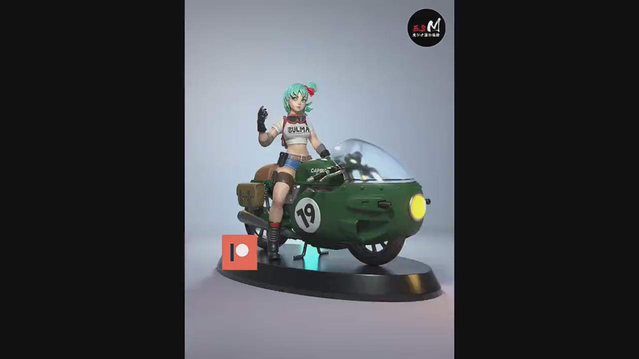 Briefs Bike Version 3d Printed Model Kit