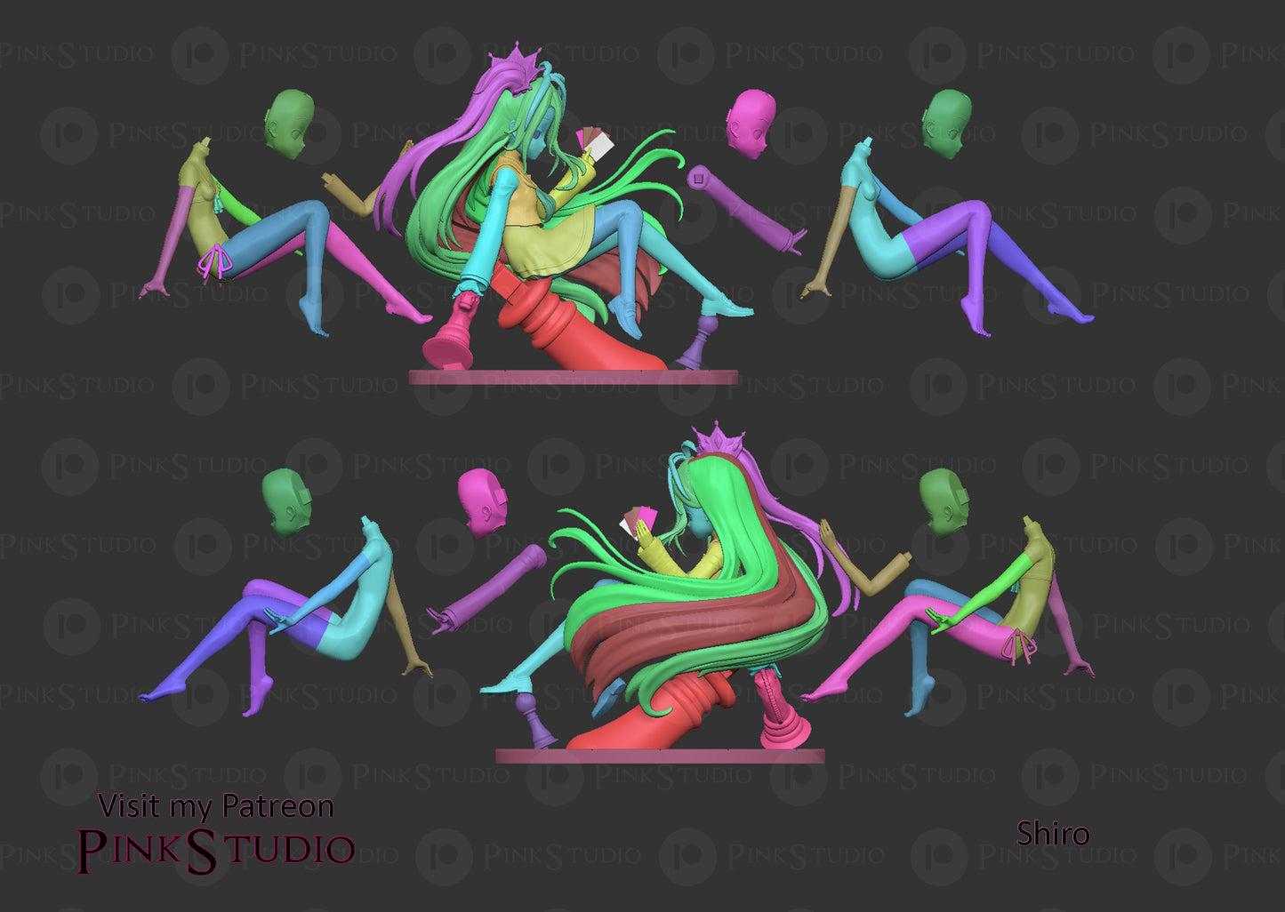 Shiro 3d Printed Model Kit